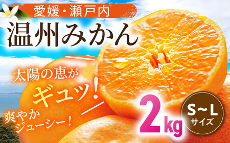 温州みかん 2kg みかん【11月中旬から順次配送】[AGBN046]