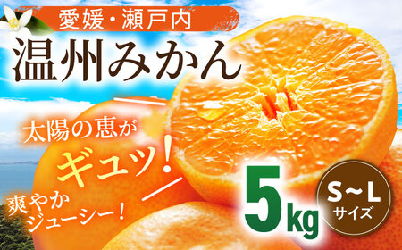 みかん 5kg みかん【11月中旬から順次配送】[AGBN047] 