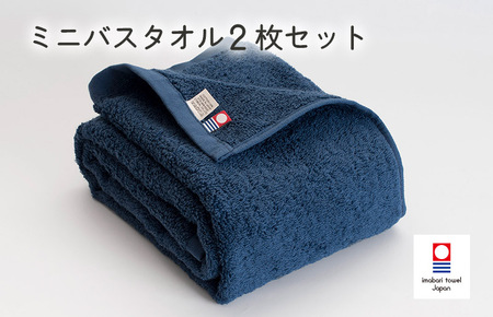 （今治タオルブランド認定）今治ベーシックタオル　ミニバスタオル　2枚セット（ネイビー）[I002120MBT2NV]