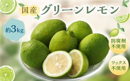 国産グリーンレモン 3kg【2026年10月上旬-11月下旬まで順次発送予定】｜  フルーツ 果物 柑橘 グリーンレモン レモン れもん 檸檬 国産 静岡県 菊川市