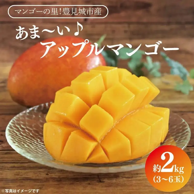アップルマンゴー 約2kg(3～6玉)(家庭用) 