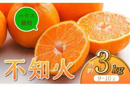 先行予約 不知火 ハウス栽培不知火 約3kg 宇城市産 うちやま果樹園 2026年2月下旬から6月下旬発送予定