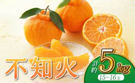 不知火 約5kg うちやま果樹園 2026年3月上旬から6月下旬発送予定 