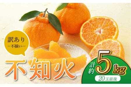 訳あり品 不知火 約5kg 【2026年3月上旬から6月下旬発送予定】 デコポン®同品種 デコポン®・不知火発祥の地熊本県宇城市