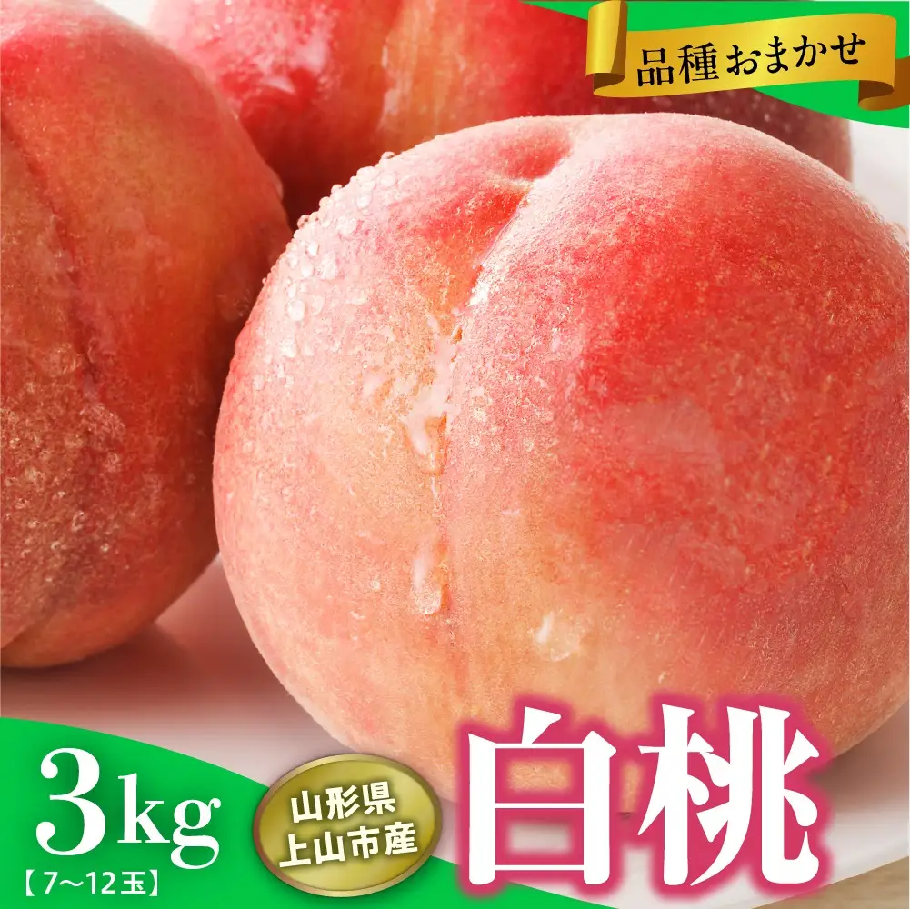 山形県上山市産　白桃（品種おまかせ）３ｋｇ　0136-2601
