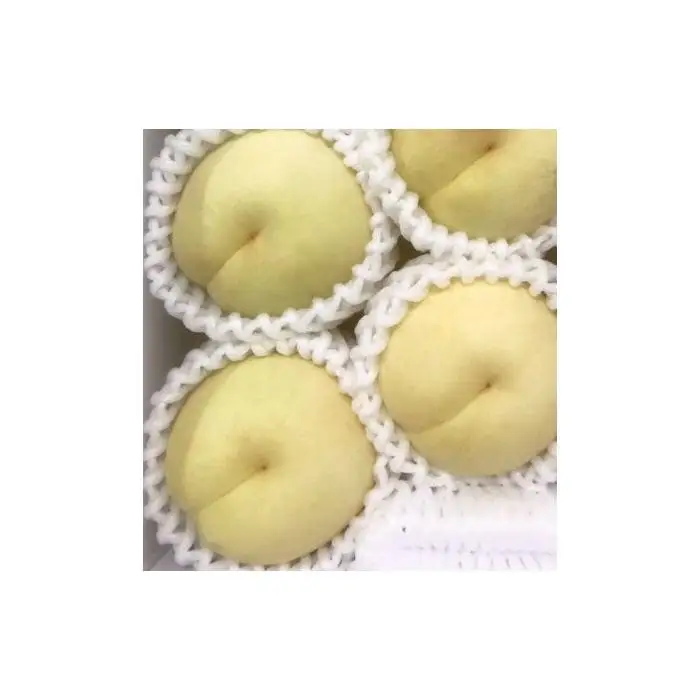 岡山県産 冬桃がたり ３個入り（約600ｇ）