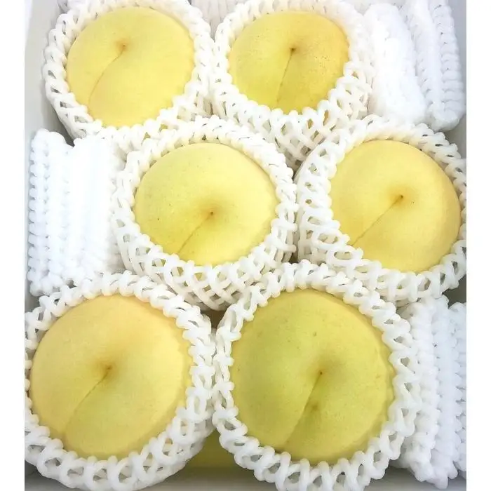 岡山県産 冬桃がたり 6個入り（約1200ｇ）