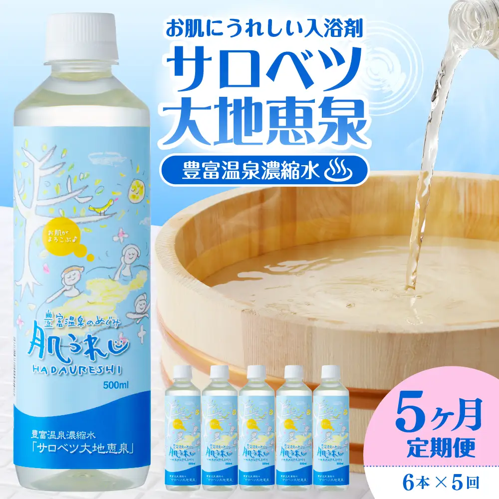 【定期便 5か月連続】 豊富温泉 濃縮温泉水 サロベツ大地恵泉 (1回500ml×6本)