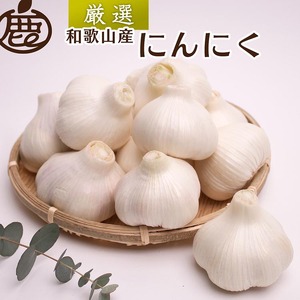 ＜5月より発送＞厳選 にんにく500g【生にんにく】【国産】