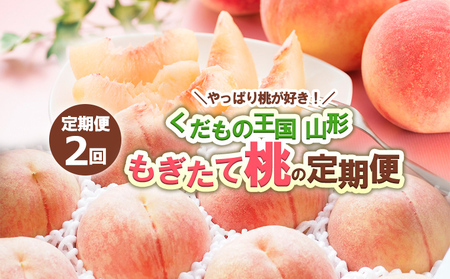 【定期便2回】やっぱり桃が好き！くだもの王国山形 もぎたて桃の定期便 【令和8年産先行予約】FS24-722 くだもの 果物 フルーツ 山形 山形県 山形市 2026年産