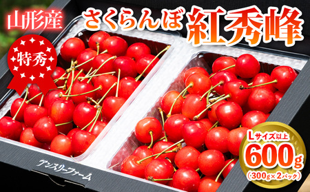 2026年産 さくらんぼ 「紅秀峰」 600g 特秀品 Lサイズ以上 山形産 【令和8年産先行予約】FS24-745