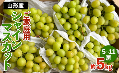 [ご家庭用]山形産 シャインマスカット 約5kg (5房～11房） 【令和8年産先行予約】FS24-749 くだもの 果物 フルーツ 山形 山形県 山形市 2026年産
