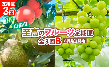 【定期便3回】山形市至高のフルーツ定期便 全3回B 8月発送開始【令和8年産先行予約】FS24-760 くだもの 果物 フルーツ 山形 山形県 山形市 2026年産