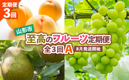 【定期便3回】山形市至高のフルーツ定期便 全3回A 8月発送開始【令和8年産先行予約】FS24-761 くだもの 果物 フルーツ 山形 山形県 山形市 2026年産