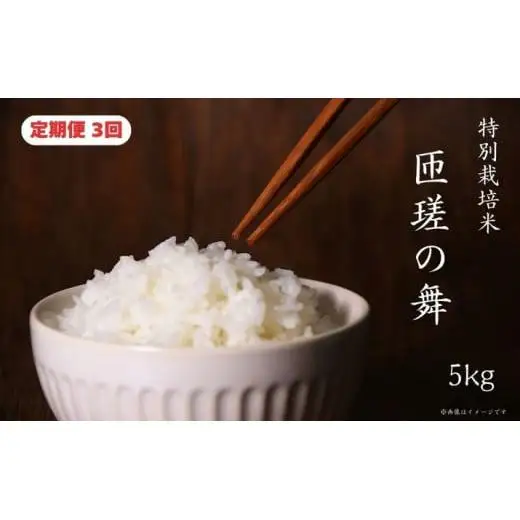 【定期便3回】 令和7年産　匝瑳の舞　精米　5kg ／ お米 米 コメ こめ ごはん ふさこがね 白米 精米 5kg チバエコ 特別栽培 千葉県 匝瑳市