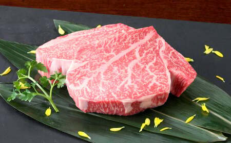 くまもと黒毛和牛 ヒレステーキ 400g （200g×2枚） 国産 熊本 和牛 牛肉 牛 肉 ヒレ お肉 冷凍