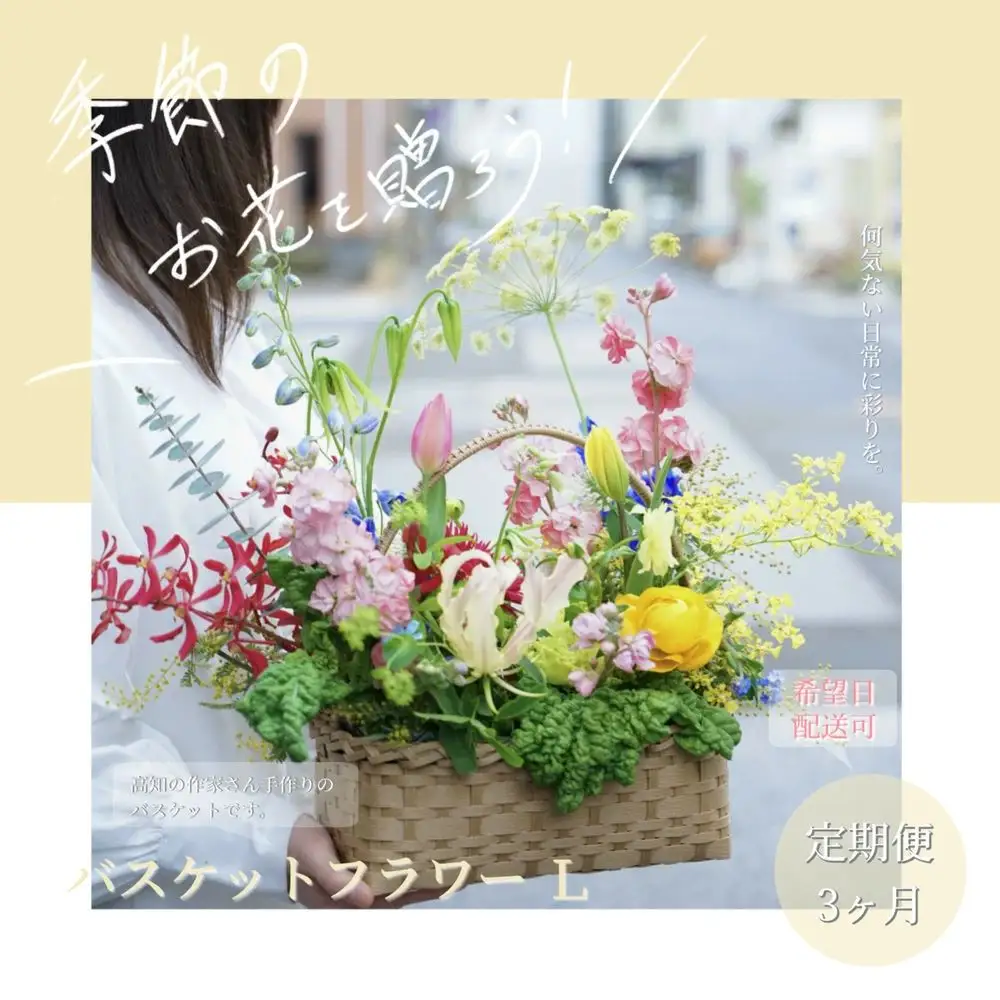 《3ヵ月定期便》季節の生花バスケットフラワーL 