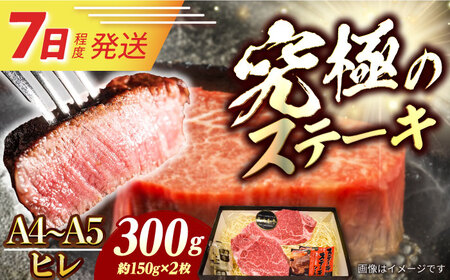 7日発送) 長崎和牛 ヒレステーキ 300g [ECS029] ヒレ ヒレ肉