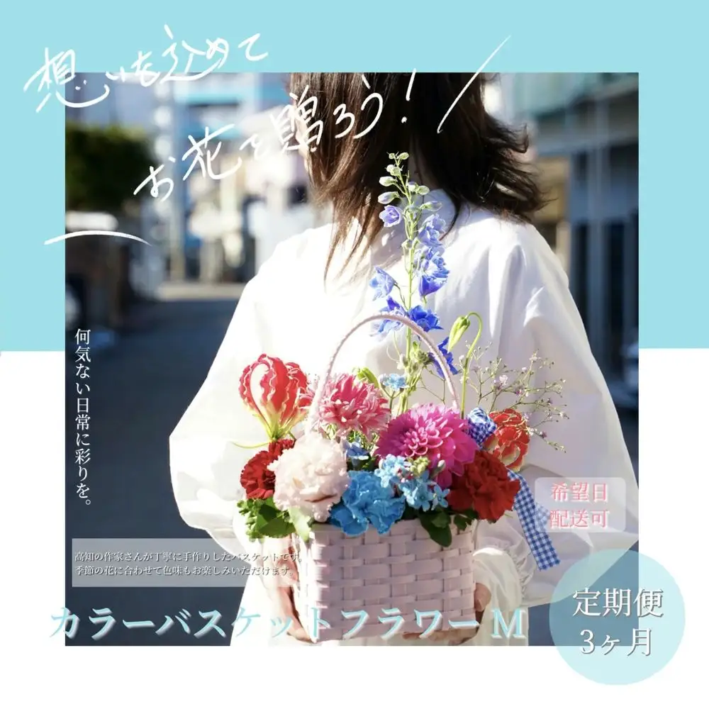 《3ヵ月定期便》季節の生花カラーバスケットフラワーM 