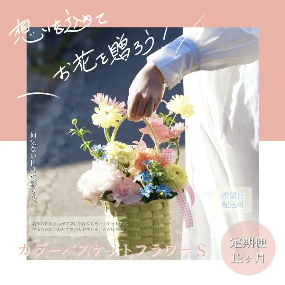 《12ヵ月定期便》季節の生花カラーバスケットフラワーS 