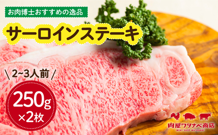 長崎和牛サーロインステーキ 500g [ECT009] ステーキ 牛肉 焼肉