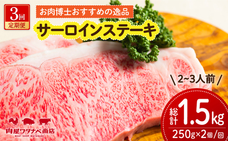 【3回定期便】 長崎和牛 サーロインステーキ 250g×2枚 [ECT010]  国産 長崎和牛 和牛 サーロインステーキ サーロイン ステーキ さーろいん 2枚 牛肉 冷凍 ソース付き ギフト お祝い 定期 定期便