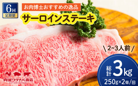 【6回定期便】 長崎和牛 サーロインステーキ 250g×2枚 [ECT011]  国産 長崎和牛 和牛 サーロインステーキ サーロイン ステーキ さーろいん 2枚 牛肉 冷凍 ソース付き ギフト お祝い 定期 定期便