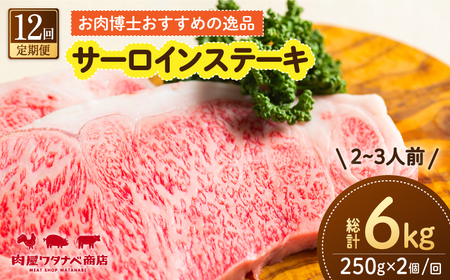 【12回定期便】 長崎和牛 サーロインステーキ 250g×2枚 [ECT012]  国産 長崎和牛 和牛 サーロインステーキ サーロイン ステーキ さーろいん 2枚 牛肉 冷凍 ソース付き ギフト お祝い 定期 定期便