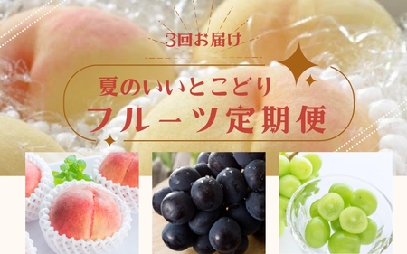 定期便全3回 【7月・8月・9月発送】 和歌山のフルーツをお届け（桃・たねなしピオーネ・シャインマスカット）【TM180】【TM92235-tkb360】