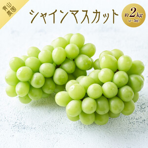 【先行予約】【数量限定】 シャインマスカット 約2kg 〔2026年8月上旬より順次発送〕