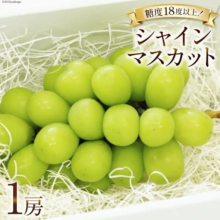 【2026年発送】ぶどう  シャインマスカット 予約 約  500g 1房 [Inakakara 山梨県 韮崎市 20745255]