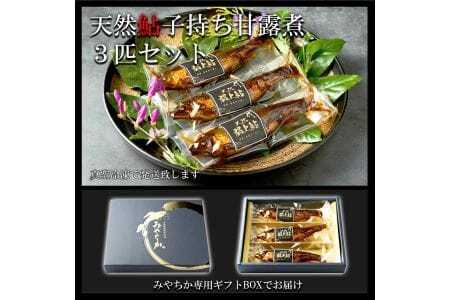 天然鮎専門店みやちかの【天然鮎子持ち甘露煮】長良川郡上鮎　3匹