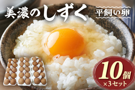 たまご 『美濃のしずく』30個入 コケコッコ村の新鮮たまご