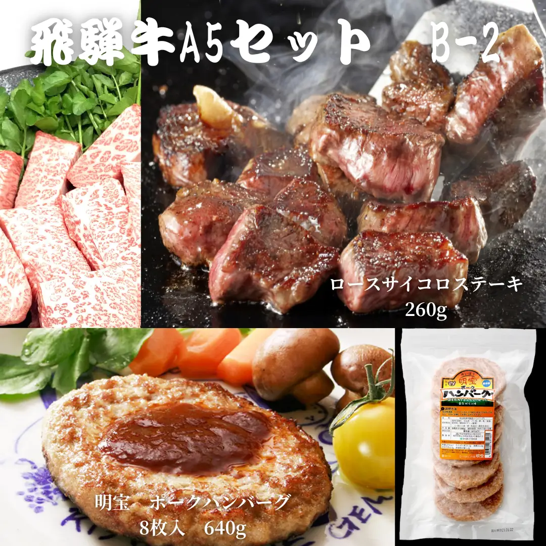 【A5等級・飛騨牛】ロースサイコロステーキ260g+明宝ポークハンバーグ8枚　お弁当 アウトドア キャンプ バーベキュー BBQ 