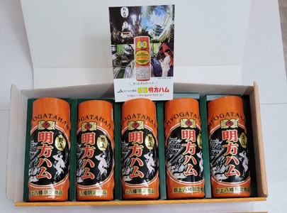 明方ハム郡上八幡限定バージョン5本セット