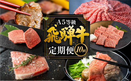 飛騨牛づくし定期便 10回 2人前 定期便 