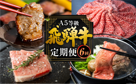 飛騨牛づくし定期便 6回 4人前 定期便 