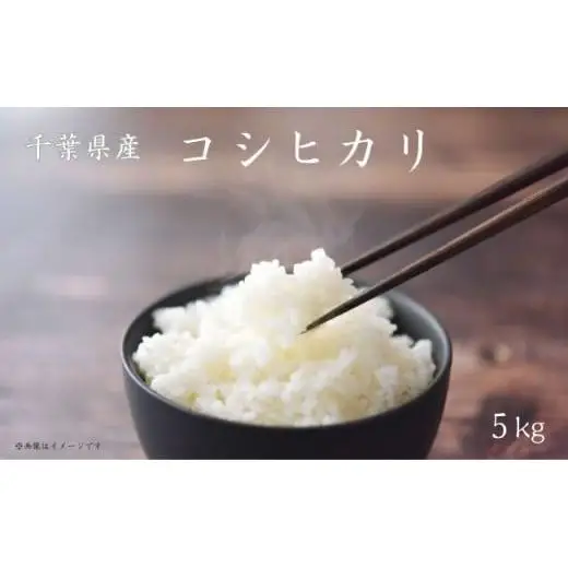 《 令和7年産 》米 コシヒカリ 5kg ／ 米 こめ コメ お米 おこめ コシヒカリ こしひかり 令和7年 白米 精米 ごはん 5kg 送料無料