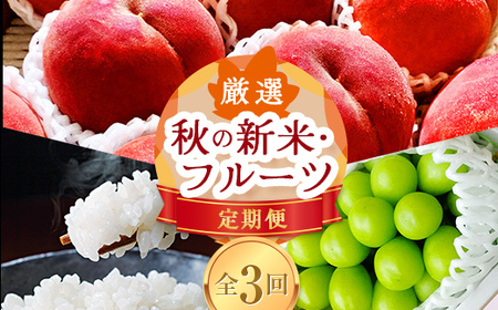 《先行予約 2026年8月発送開始》 山形県の至高！ 山形県厳選 新米・フルーツ定期便 全3回 マスカット ぶどう ブドウ 葡萄 デザート フルーツ 果物 くだもの 果実 食品 山形県 FSY-2454