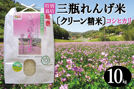 〈クリーン精米〉特別栽培 三瓶れんげ米 コシヒカリ 10kg【令和6年産 こしひかり お米 10kg 2024年産 特別栽培米 エコロジー米 無化学窒素肥料 減農薬米】