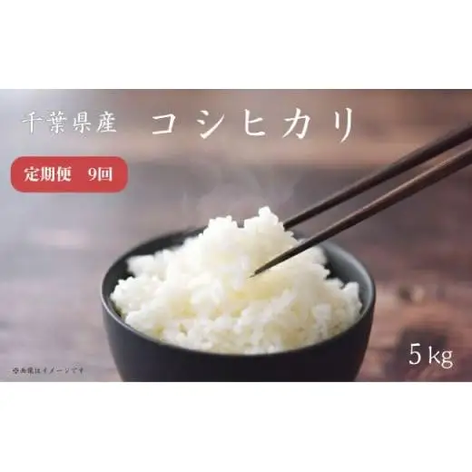 【 定期便 9回 】《 令和7年産 》千葉県産 コシヒカリ 5kg ／ 米 こめ コメ お米 おこめ コシヒカリ こしひかり 令和7年 白米 精米 ごはん 5kg 定期便 送料無料
