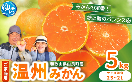 家庭用 温州みかん 5kg ※2026年11月中旬頃～12月下旬頃に順次発送予定 農家直送 / くだもの  果実  柑橘 果物 フルーツ 国産 和歌山県 由良町 ご家庭用 人気 おすすめ【nktn004-c-5】