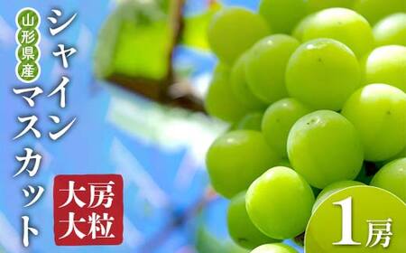 《先行予約 2026年度発送》山形県産 大房大粒シャインマスカット 700g～800g マスカット ぶどう ブドウ 葡萄 デザート フルーツ 果物 くだもの 果実 食品 山形県 FSY-1800