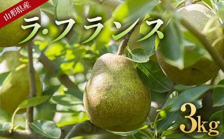 《先行予約 2026年度発送》山形県産 ラ・フランス 3kg（6～10玉） なし ナシ 梨 デザート フルーツ 果物 くだもの 果実 食品 山形県 FSY-1811
