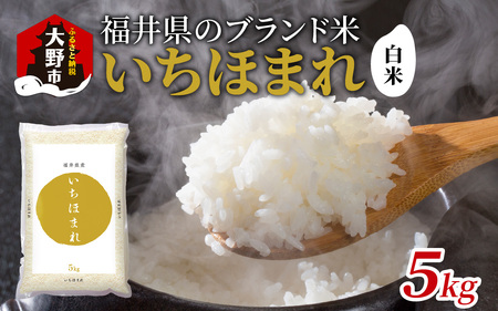 【令和7年産】福井県産 いちほまれ（白米）5kg [A-097001]