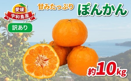 訳あり ポンカン 約10kg 協徳ガーデン 先行予約 予約受付 訳アリ わけあり ぽんかん 甘い 濃厚 ジューシー 果物 くだもの フルーツ 柑橘 みかん mikan 宇和島みかん 愛媛蜜柑 愛媛ミカン ミカン 蜜柑 農家直送 産地直送 数量限定 国産 愛媛 宇和島 B010-178005