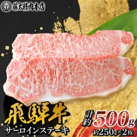 【飛騨牛】サーロインステーキ 2枚入り 計約500g (250g×2枚) 岐阜県産 黒毛和牛【配送不可地域：離島】【1420282】