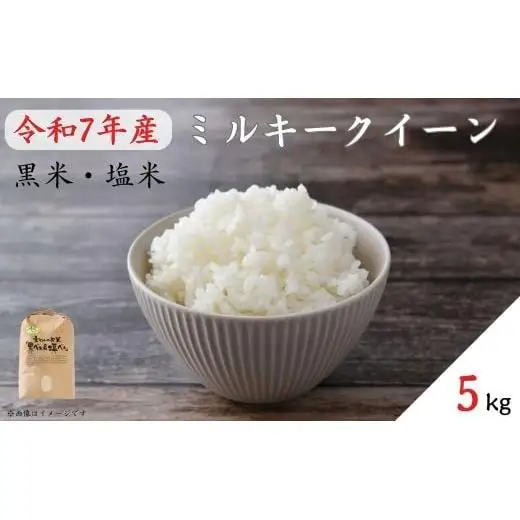《 令和7年産 》黒米・塩米（ミルキークイーン）約5kg ／ 米 お米 こめ コメ 精米 白米 令和7年 ミルキークイーン 5kg 産地直送