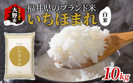 【令和7年産】福井県産 いちほまれ（白米）10kg [B-097001]