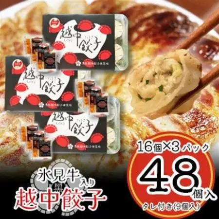 氷見牛入り越中餃子　3パック(48個入り)_惣菜・加工品 餃子  ぎょうざ ギョウザ_【配送不可地域：離島】【1558389】